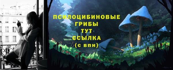 2c-b Володарск