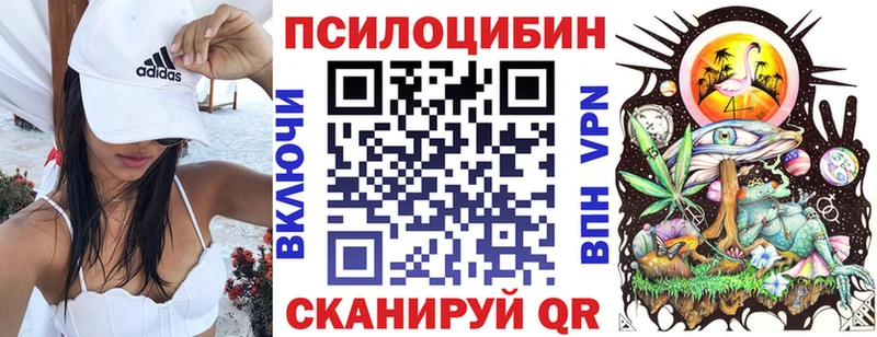 Купить где  Цоци-Юрт  Галлюциногенные грибы Cubensis 